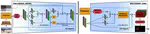 Differentiable Soft-Masked Attention